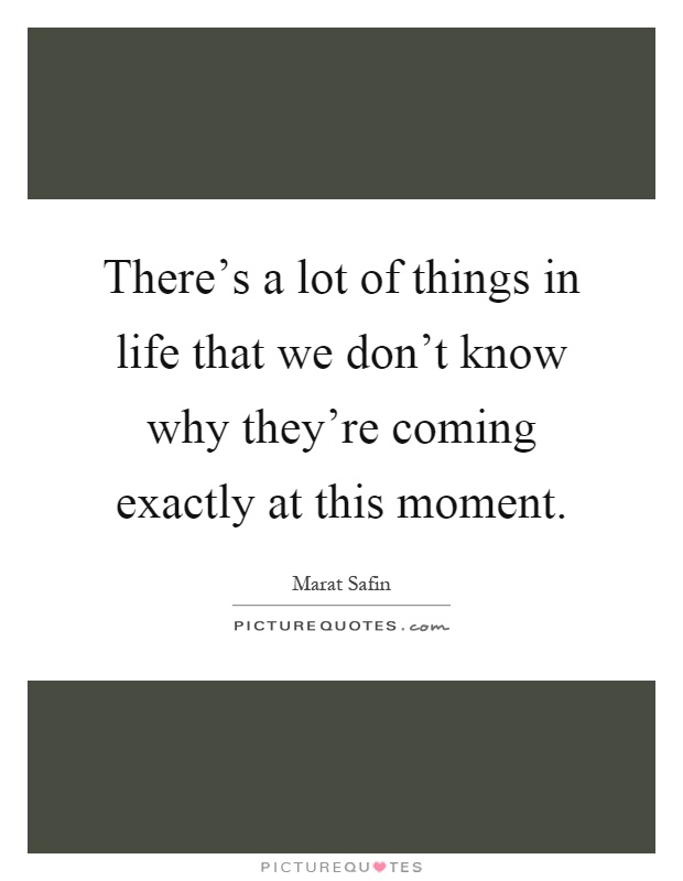 There's a lot of things in life that we don't know why they're coming exactly at this moment Picture Quote #1