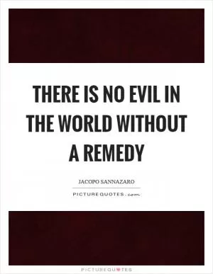 There is no evil in the world without a remedy Picture Quote #1