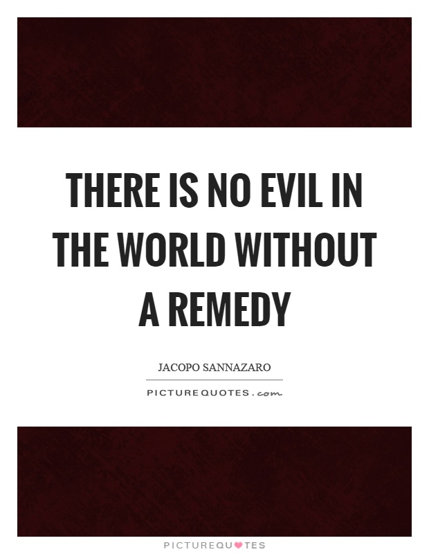 There is no evil in the world without a remedy Picture Quote #1