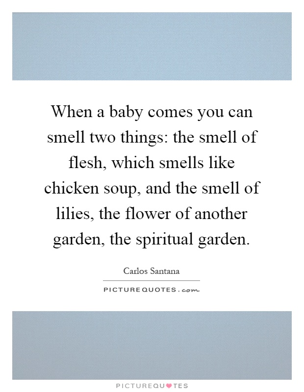 When a baby comes you can smell two things: the smell of flesh, which smells like chicken soup, and the smell of lilies, the flower of another garden, the spiritual garden Picture Quote #1