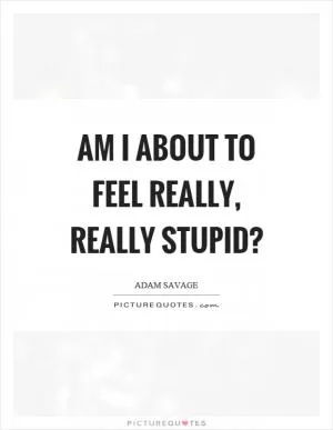 Am I about to feel really, really stupid? Picture Quote #1