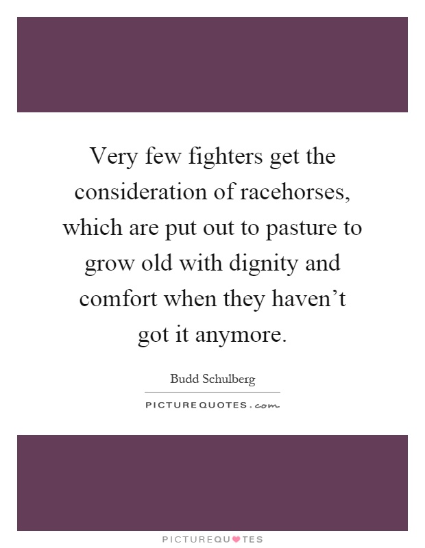 Very few fighters get the consideration of racehorses, which are put out to pasture to grow old with dignity and comfort when they haven't got it anymore Picture Quote #1