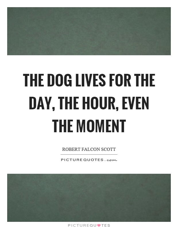 The dog lives for the day, the hour, even the moment Picture Quote #1
