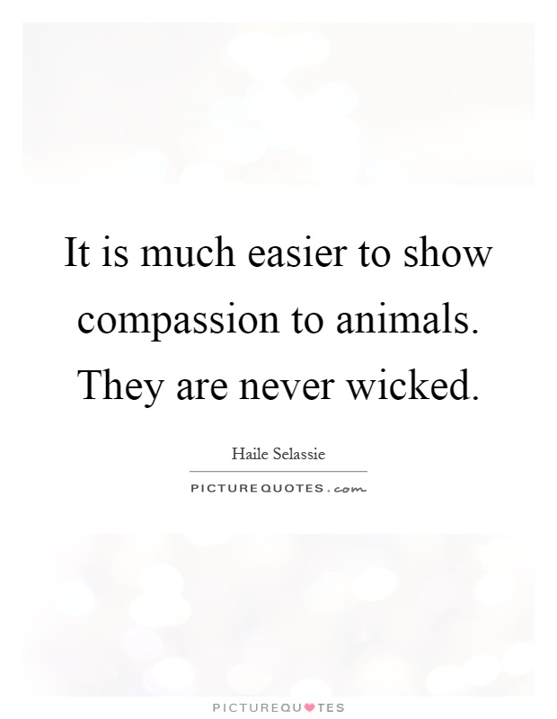 It is much easier to show compassion to animals. They are never wicked Picture Quote #1