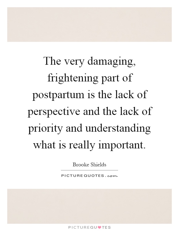 The very damaging, frightening part of postpartum is the lack of perspective and the lack of priority and understanding what is really important Picture Quote #1
