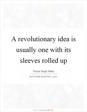 A revolutionary idea is usually one with its sleeves rolled up Picture Quote #1