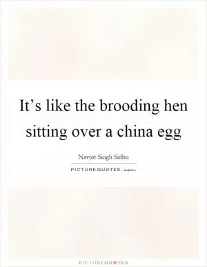 It’s like the brooding hen sitting over a china egg Picture Quote #1