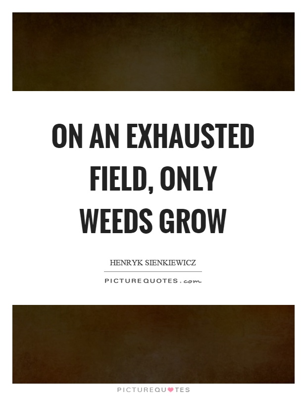 On an exhausted field, only weeds grow Picture Quote #1
