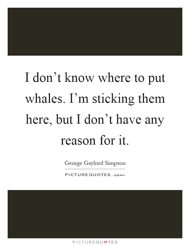 I don't know where to put whales. I'm sticking them here, but I don't have any reason for it Picture Quote #1