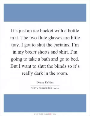 It’s just an ice bucket with a bottle in it. The two flute glasses are little tray. I got to shut the curtains. I’m in my boxer shorts and shirt. I’m going to take a bath and go to bed. But I want to shut the blinds so it’s really dark in the room Picture Quote #1
