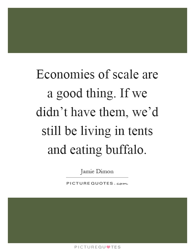 Economies of scale are a good thing. If we didn't have them, we'd still be living in tents and eating buffalo Picture Quote #1