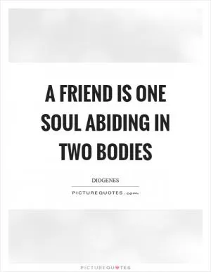 A friend is one soul abiding in two bodies Picture Quote #1