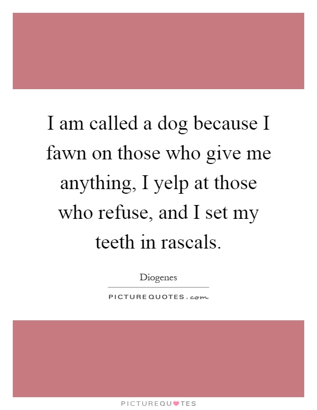 I am called a dog because I fawn on those who give me anything, I yelp at those who refuse, and I set my teeth in rascals Picture Quote #1