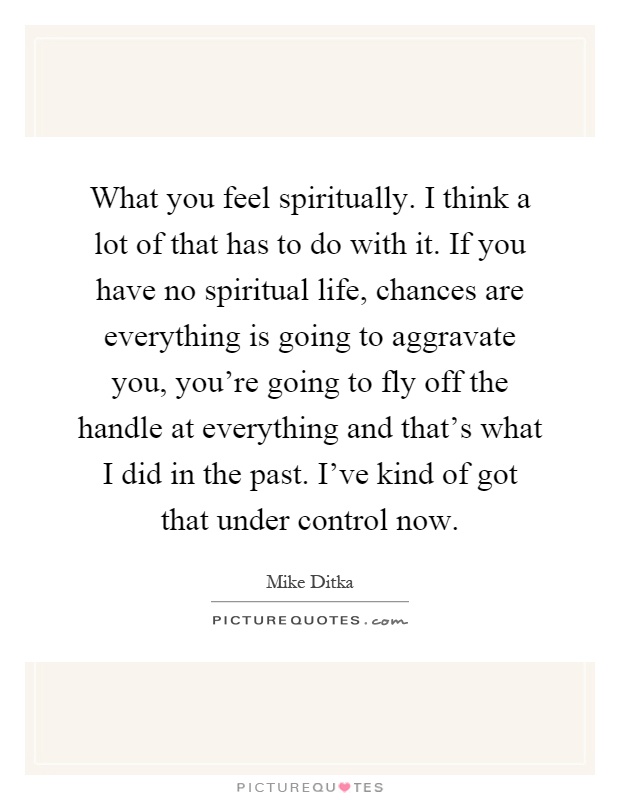 What you feel spiritually. I think a lot of that has to do with it. If you have no spiritual life, chances are everything is going to aggravate you, you're going to fly off the handle at everything and that's what I did in the past. I've kind of got that under control now Picture Quote #1