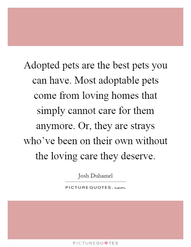 Adopted pets are the best pets you can have. Most adoptable pets come from loving homes that simply cannot care for them anymore. Or, they are strays who've been on their own without the loving care they deserve Picture Quote #1