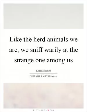 Like the herd animals we are, we sniff warily at the strange one among us Picture Quote #1