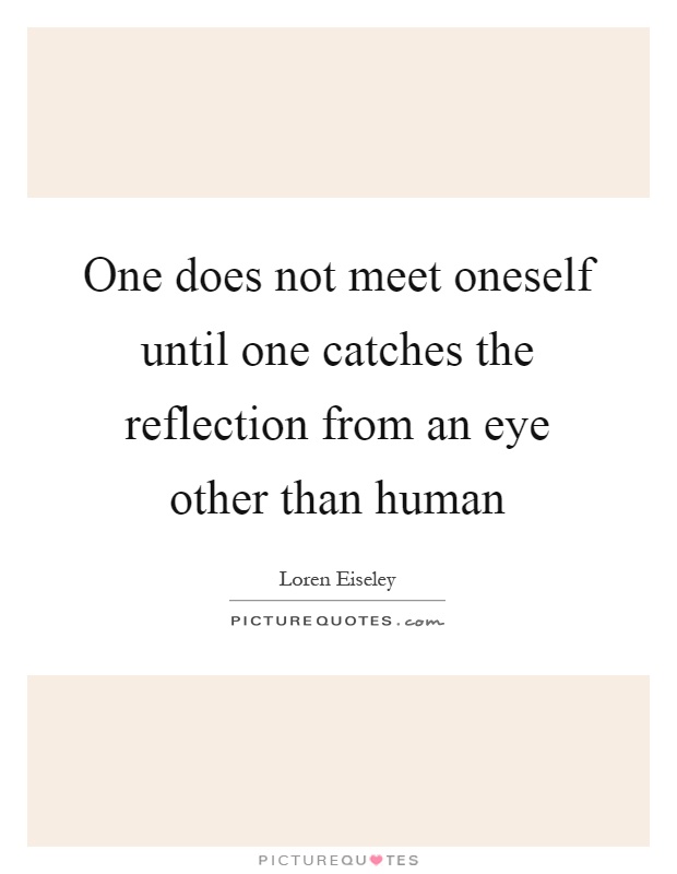 One does not meet oneself until one catches the reflection from an eye other than human Picture Quote #1