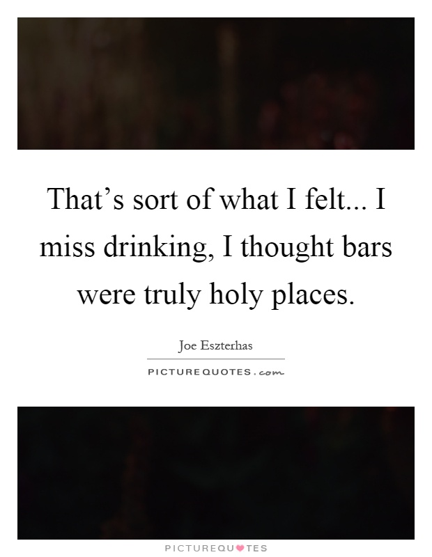 That's sort of what I felt... I miss drinking, I thought bars were truly holy places Picture Quote #1