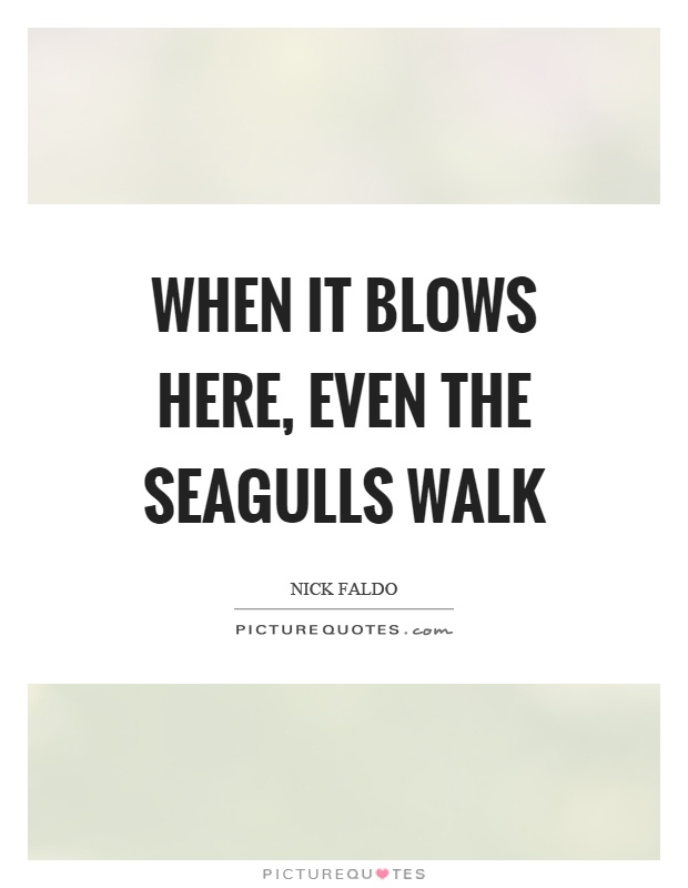 When it blows here, even the seagulls walk Picture Quote #1