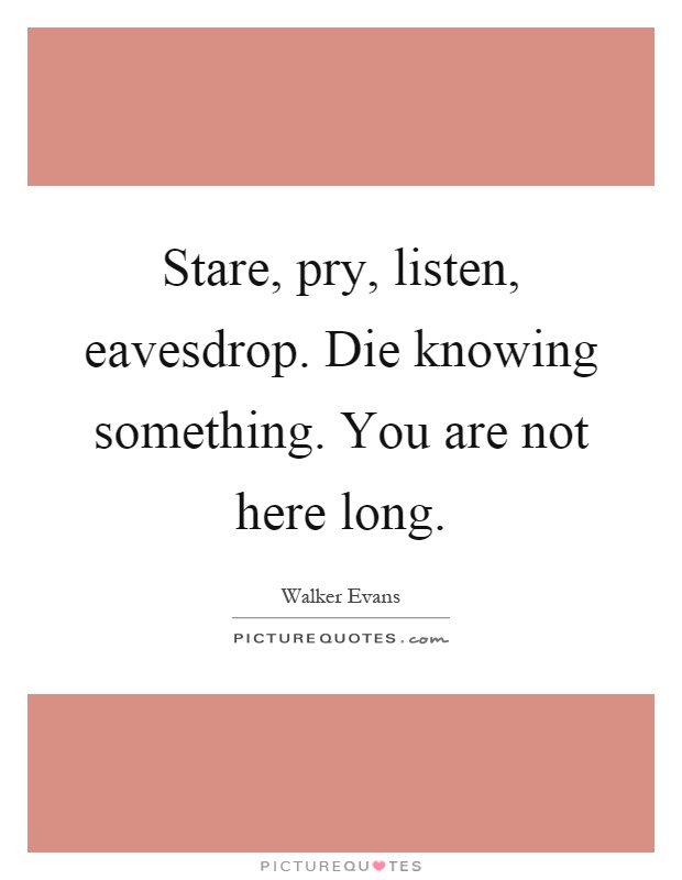 Stare, pry, listen, eavesdrop. Die knowing something. You are not here long Picture Quote #1
