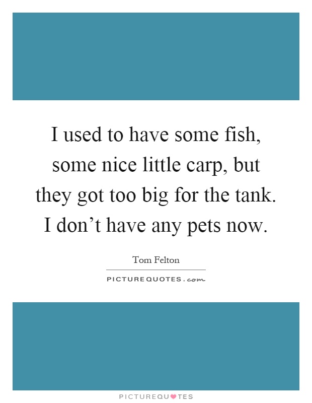 I used to have some fish, some nice little carp, but they got too big for the tank. I don't have any pets now Picture Quote #1