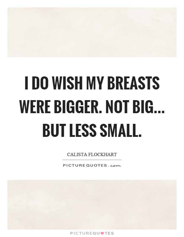 I do wish my breasts were bigger. Not big... but less small Picture Quote #1