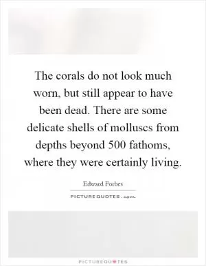 The corals do not look much worn, but still appear to have been dead. There are some delicate shells of molluscs from depths beyond 500 fathoms, where they were certainly living Picture Quote #1