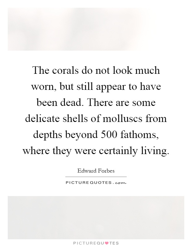 The corals do not look much worn, but still appear to have been dead. There are some delicate shells of molluscs from depths beyond 500 fathoms, where they were certainly living Picture Quote #1