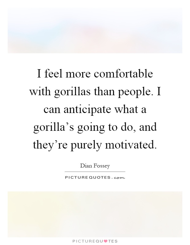 I feel more comfortable with gorillas than people. I can anticipate what a gorilla's going to do, and they're purely motivated Picture Quote #1