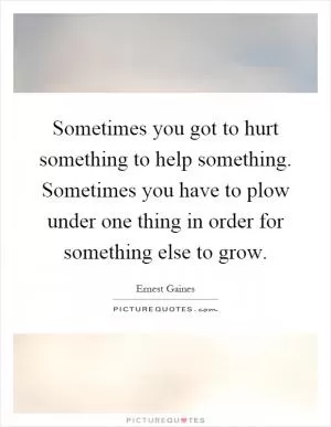 Sometimes you got to hurt something to help something. Sometimes you have to plow under one thing in order for something else to grow Picture Quote #1
