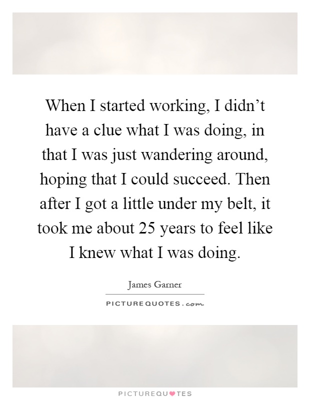 When I started working, I didn't have a clue what I was doing, in that I was just wandering around, hoping that I could succeed. Then after I got a little under my belt, it took me about 25 years to feel like I knew what I was doing Picture Quote #1