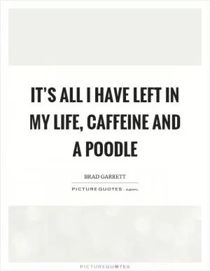 It’s all I have left in my life, caffeine and a poodle Picture Quote #1