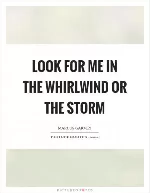 Look for me in the whirlwind or the storm Picture Quote #1