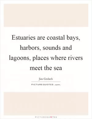 Estuaries are coastal bays, harbors, sounds and lagoons, places where rivers meet the sea Picture Quote #1