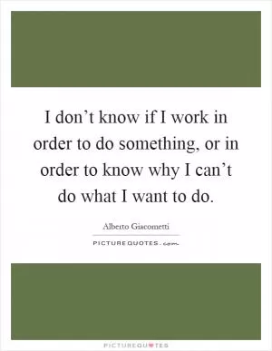 I don’t know if I work in order to do something, or in order to know why I can’t do what I want to do Picture Quote #1