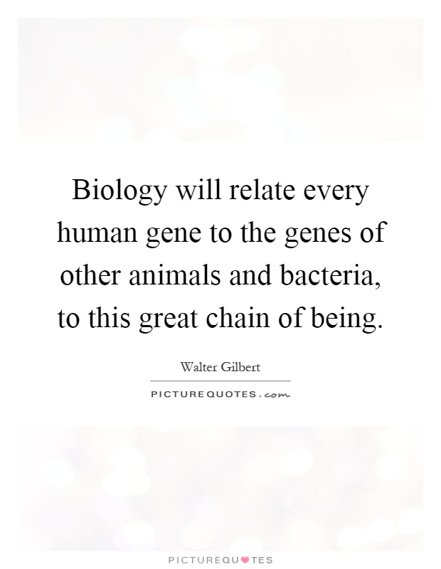 Biology will relate every human gene to the genes of other animals and bacteria, to this great chain of being Picture Quote #1