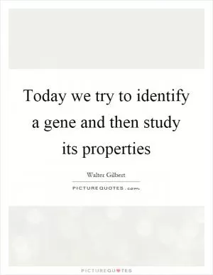 Today we try to identify a gene and then study its properties Picture Quote #1
