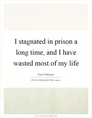 I stagnated in prison a long time, and I have wasted most of my life Picture Quote #1