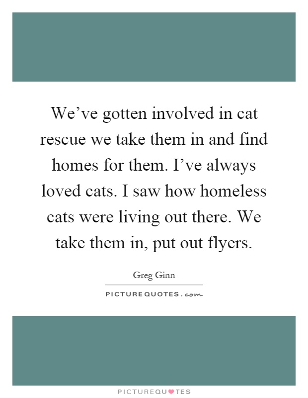 We've gotten involved in cat rescue we take them in and find homes for them. I've always loved cats. I saw how homeless cats were living out there. We take them in, put out flyers Picture Quote #1