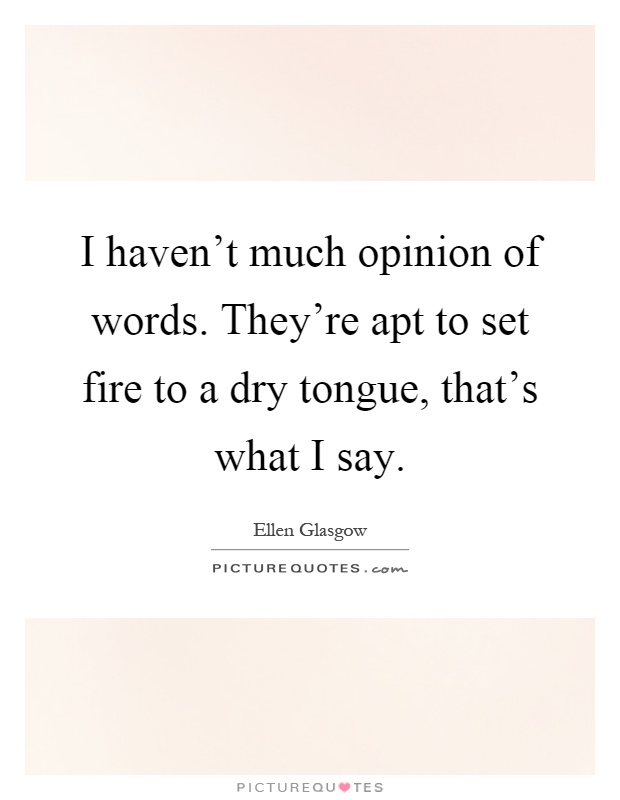 I haven't much opinion of words. They're apt to set fire to a dry tongue, that's what I say Picture Quote #1