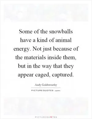 Some of the snowballs have a kind of animal energy. Not just because of the materials inside them, but in the way that they appear caged, captured Picture Quote #1