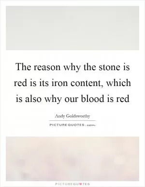 The reason why the stone is red is its iron content, which is also why our blood is red Picture Quote #1