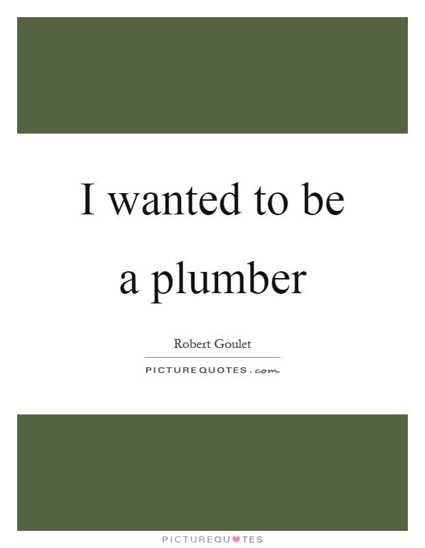 I wanted to be a plumber Picture Quote #1
