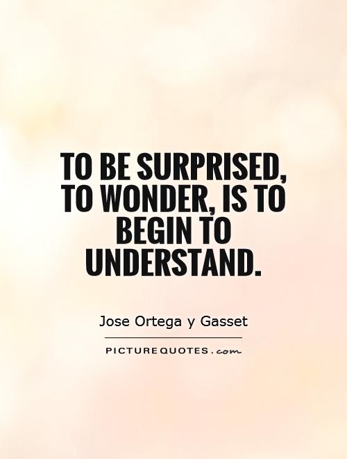To be surprised, to wonder, is to begin to understand Picture Quote #1