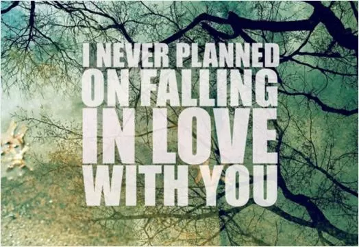 I never planned on falling in love with you Picture Quote #1