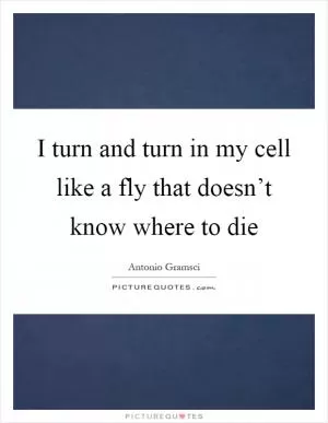 I turn and turn in my cell like a fly that doesn’t know where to die Picture Quote #1