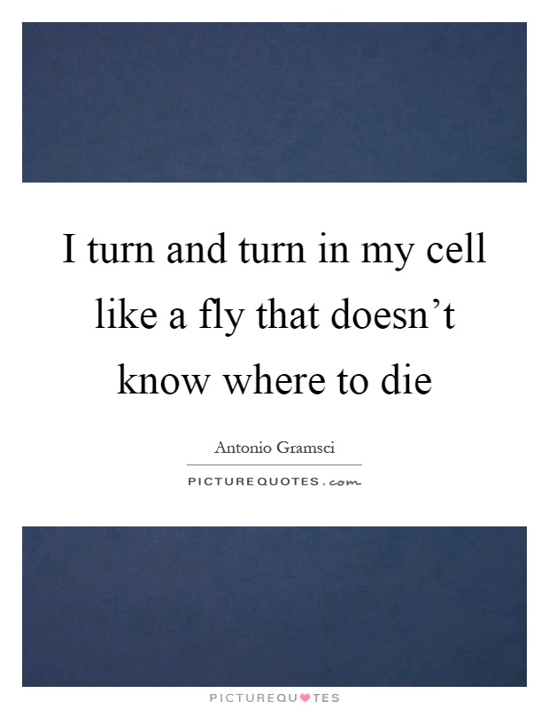 I turn and turn in my cell like a fly that doesn't know where to die Picture Quote #1
