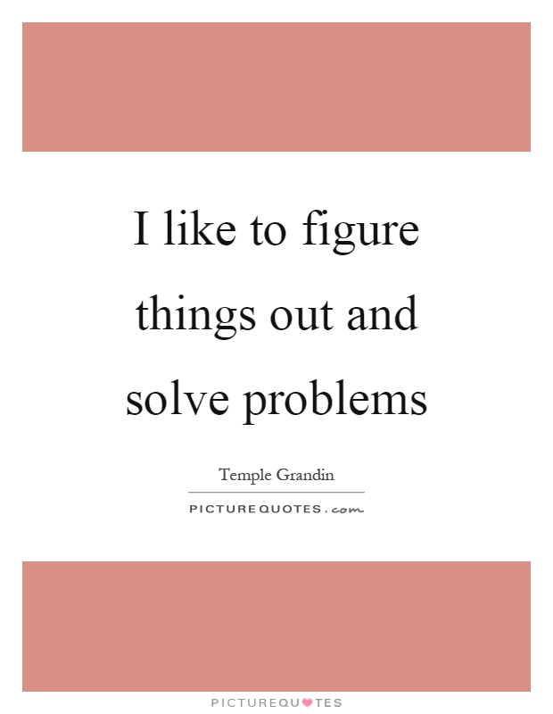 I like to figure things out and solve problems Picture Quote #1
