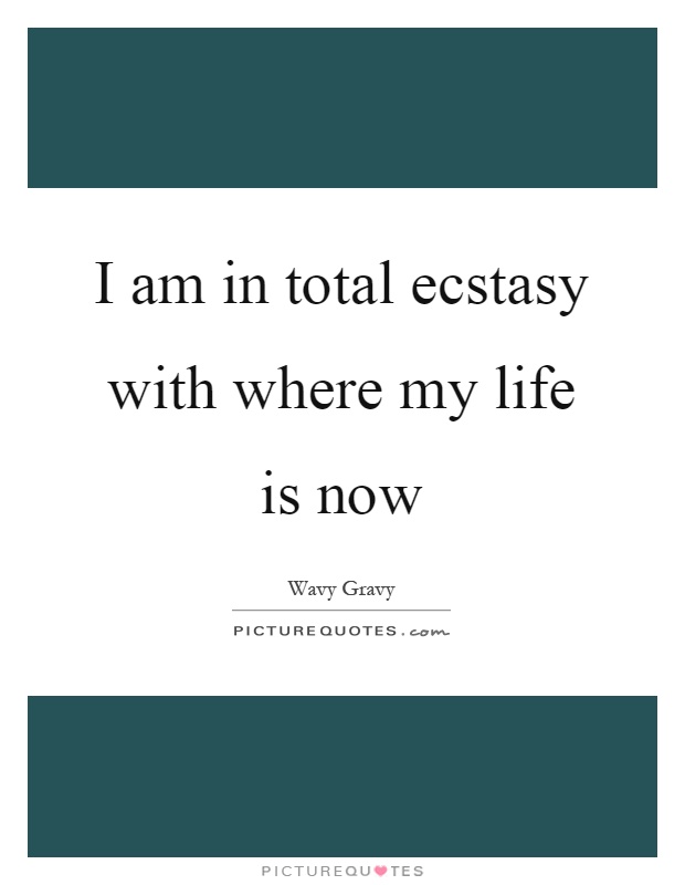I am in total ecstasy with where my life is now Picture Quote #1