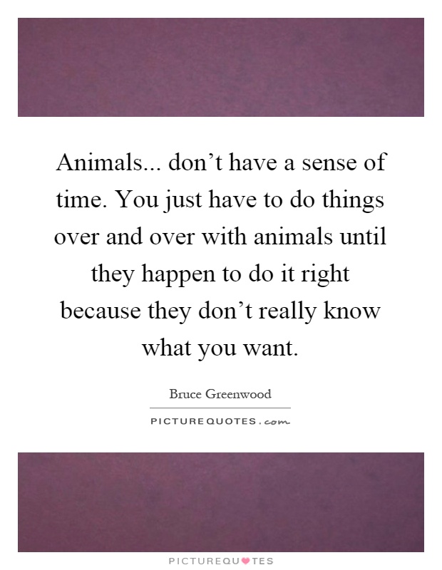 Animals... don't have a sense of time. You just have to do things over and over with animals until they happen to do it right because they don't really know what you want Picture Quote #1